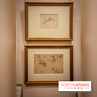 Delacroix et la nature, nos photos de l'exposition au musée Delacroix