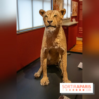 Delacroix et la nature, nos photos de l'exposition au musée Delacroix