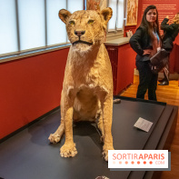 Delacroix et la nature, nos photos de l'exposition au musée Delacroix
