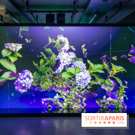 Aurea, nos photos de l'exposition-expérience de Sabrina Ratté à la Gaîté Lyrique