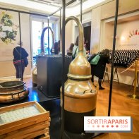 Le Musée du Parfum Fragonard : un trésor méconnu à deux pas du Palais Garnier