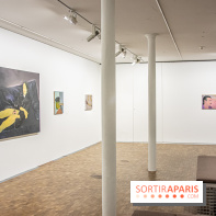 Exposition Xinyi Cheng à Lafayette Anticipations -  nos photos