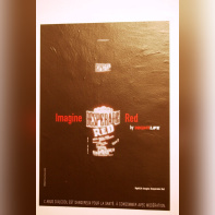 Imagine Desperados by...au Palais de Tokyo