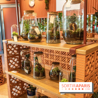 Le Café Vert du Printemps Haussmann 