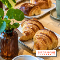 Le Café Vert du Printemps Haussmann 
