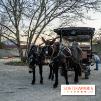 Le domaine du Chateau de Dampierre 