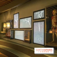 Le nouveau Musée Albert Kahn se dévoile 