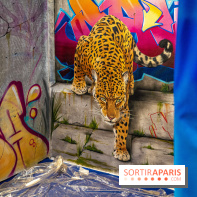 Le Colors Festival Paris 2022, les photos