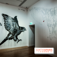 Incursions sauvages, nos photos