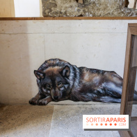 Incursions sauvages, nos photos