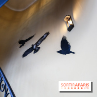 Incursions sauvages, nos photos