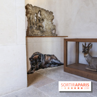 Incursions sauvages, nos photos