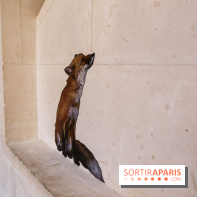 Incursions sauvages, nos photos