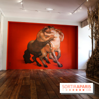 Incursions sauvages, nos photos