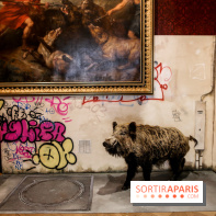 Incursions sauvages, nos photos