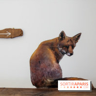 Incursions sauvages, nos photos