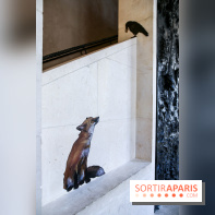 Incursions sauvages, nos photos