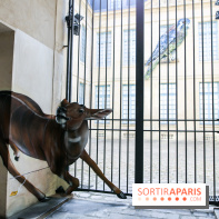 Incursions sauvages, nos photos