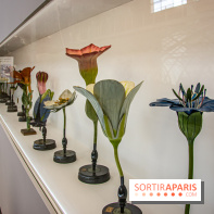 Saison Réclamer la terre au Palais de Tokyo - nos photos