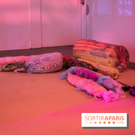 Saison Réclamer la terre au Palais de Tokyo - nos photos