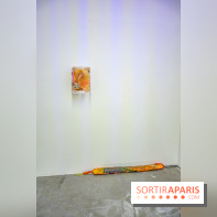 Saison Réclamer la terre au Palais de Tokyo - nos photos