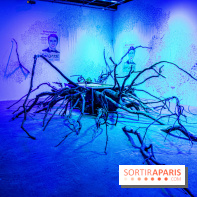 Saison Réclamer la terre au Palais de Tokyo - nos photos