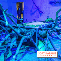 Saison Réclamer la terre au Palais de Tokyo - nos photos