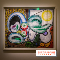 Maya Ruiz-Picasso, nos photos de l'exposition au Musée Picasso