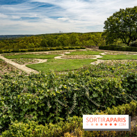 Le Château de Saint-Jean de Beauregard et son Jardin remarquable