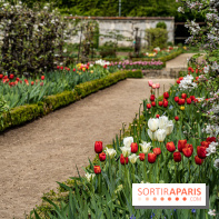 Le Château de Saint-Jean de Beauregard et son Jardin remarquable