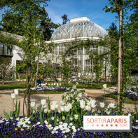 Les jardins du Musée Albert Kahn, nos photos 
