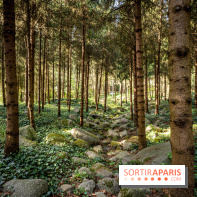 Les jardins du Musée Albert Kahn, nos photos 