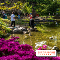 Les jardins du Musée Albert Kahn, nos photos 