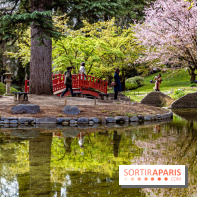 Les jardins du Musée Albert Kahn, nos photos