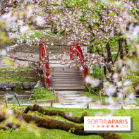 Les jardins du Musée Albert Kahn, nos photos