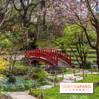 Les jardins du Musée Albert Kahn, nos photos