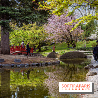 Les jardins du Musée Albert Kahn, nos photos
