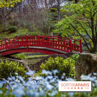 Les jardins du Musée Albert Kahn, nos photos
