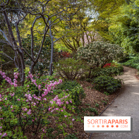 Les jardins du Musée Albert Kahn, nos photos