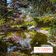 Les jardins du Musée Albert Kahn, nos photos