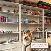 Barkers+Brothers, le concept store canin pour chouchouter son chien à Montmartre