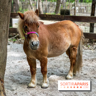 Aventure Floreval, l'accrobranche canon aux portes de Paris