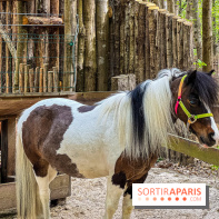 Aventure Floreval, l'accrobranche canon aux portes de Paris