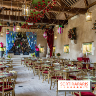 Photos : Château de Cheverny