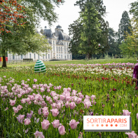 Photos : Château de Cheverny