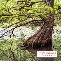 Photos : Château de Cheverny