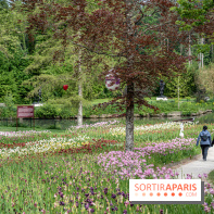 Photos : Château de Cheverny