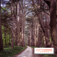 Photos : Château de Cheverny