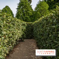 Photos : Château de Cheverny