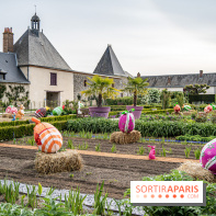 Photos : Château de Cheverny